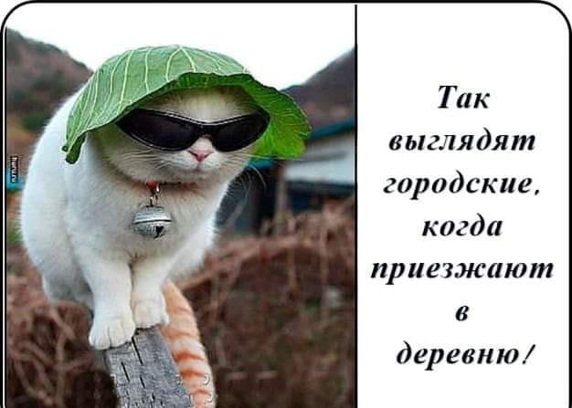 Немного картинок для настроения 19.08.20