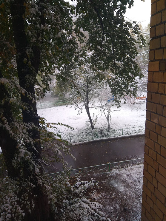 В Красноярск пришла зима