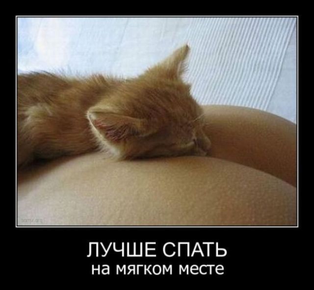 Картинки и буквы 22.12.2020