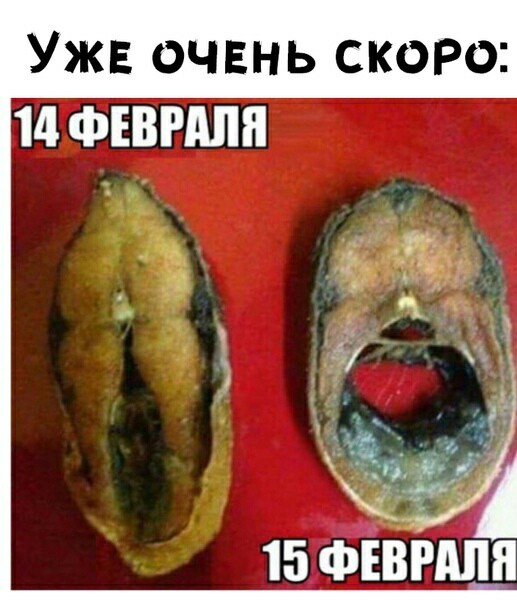 Девушки и 14 февраля