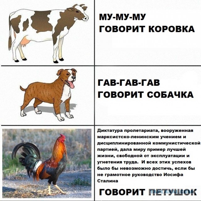 Как менялось отношение россиян к Сталину за время правления Путина