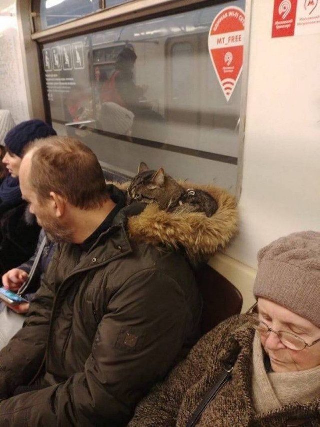 Картинки на вчера