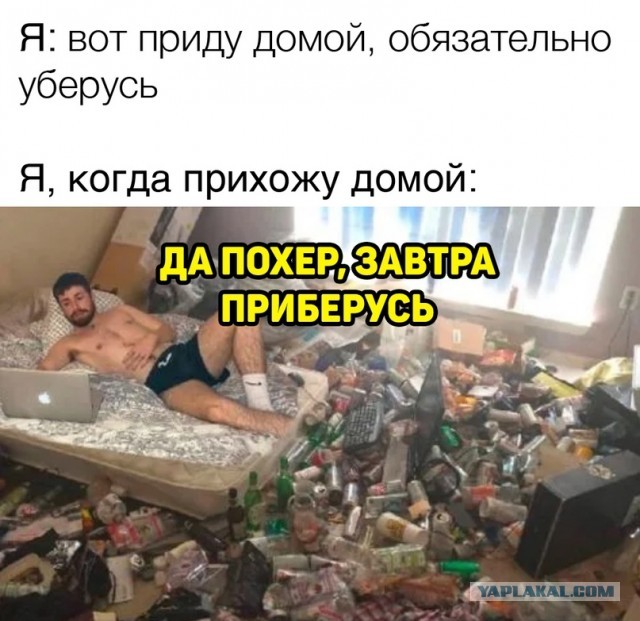 Весёлый полтишок 25.07