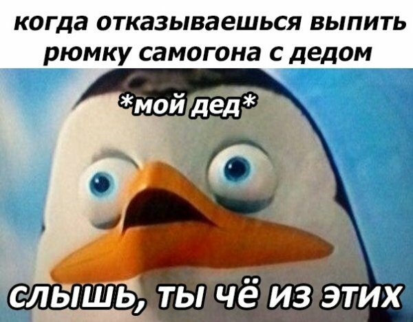 Картинки и мемы для настроения 02.08.2021