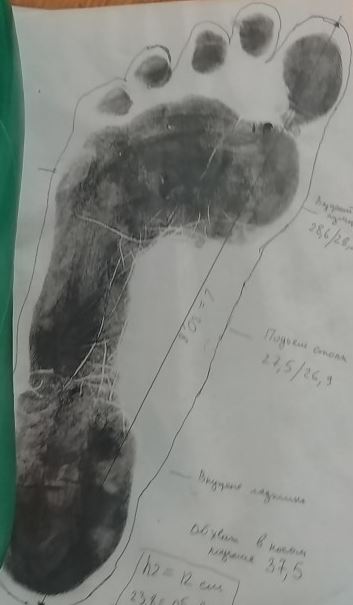 А не сшить ли нам ботинки?