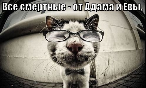 А вы боитесь смерти?