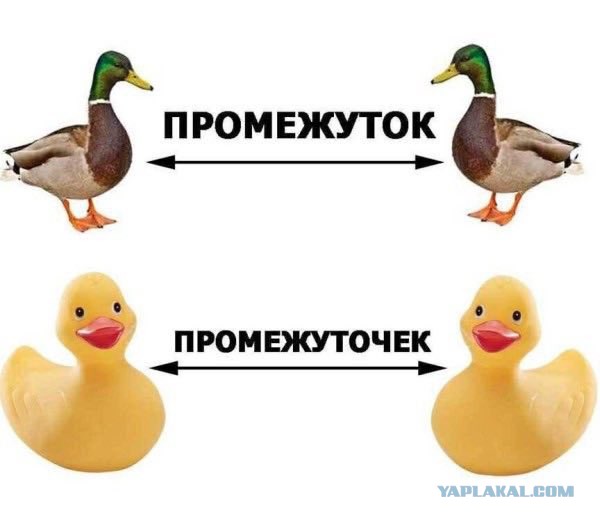 Картинки с надписями и всякие жизненные фразы