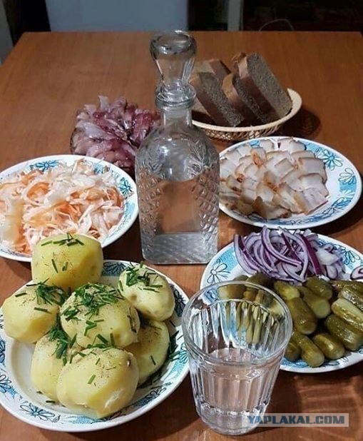 Весёлый полтишок 01.04