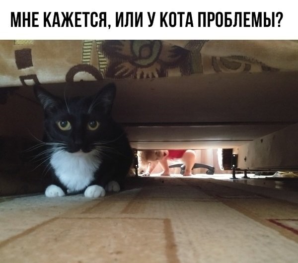 Картинки и мемы, начало праздников