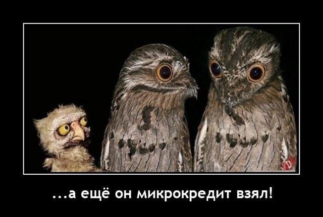 Картинки с надписями 02.07.22