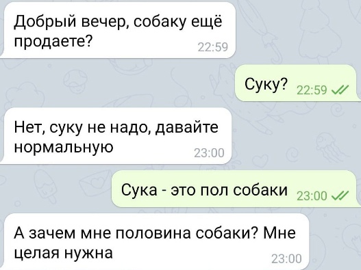 Так себе картинки 25.07.22