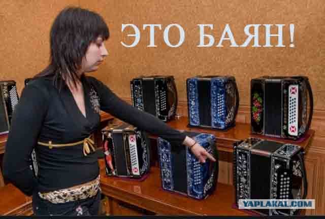 Тебе слишком много насыпали, пёс!