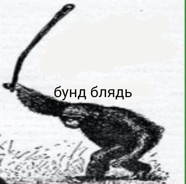 Собаковторник!