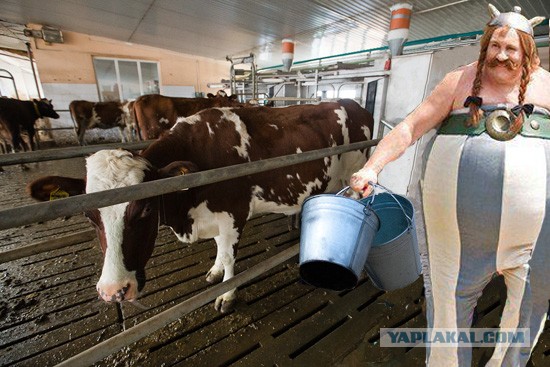 Кадырикс и Обеликс