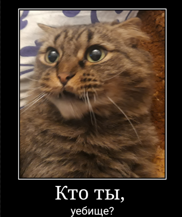 В Нижнем Тагиле задержали женщину, которая прятала наркотики в муляже грудного ребенка. На самом деле там был кот