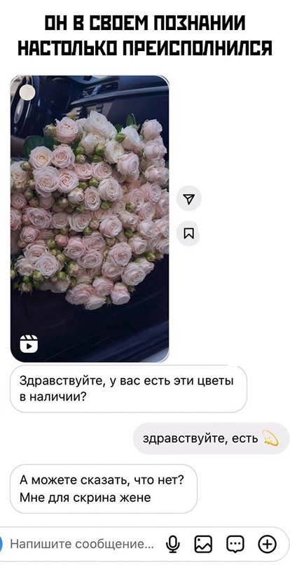 Весёлый полтишок 18.12.2023