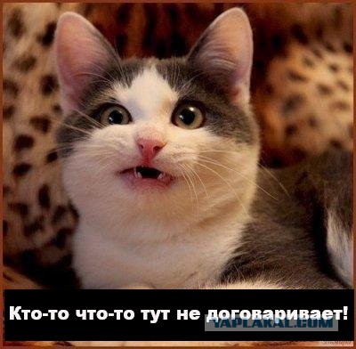 "Хотел освободить от бремени". Ушел муж после 30 лет брака