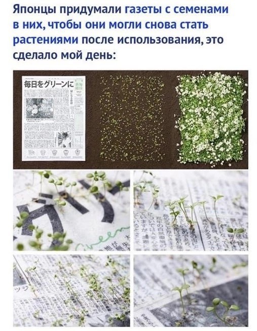 ФотоВинегрет