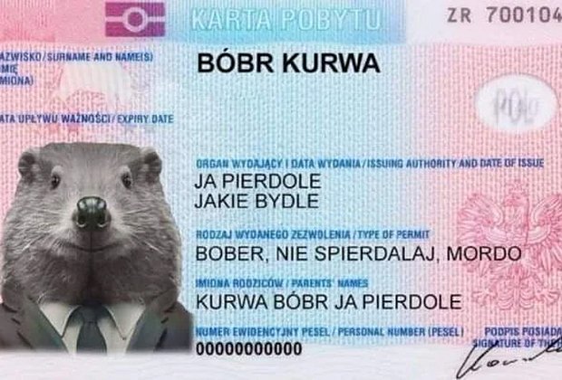 Бунт произошёл в польском учреждении после запрета на выдачу украинских загранпаспортов мужчинам призывного возраста