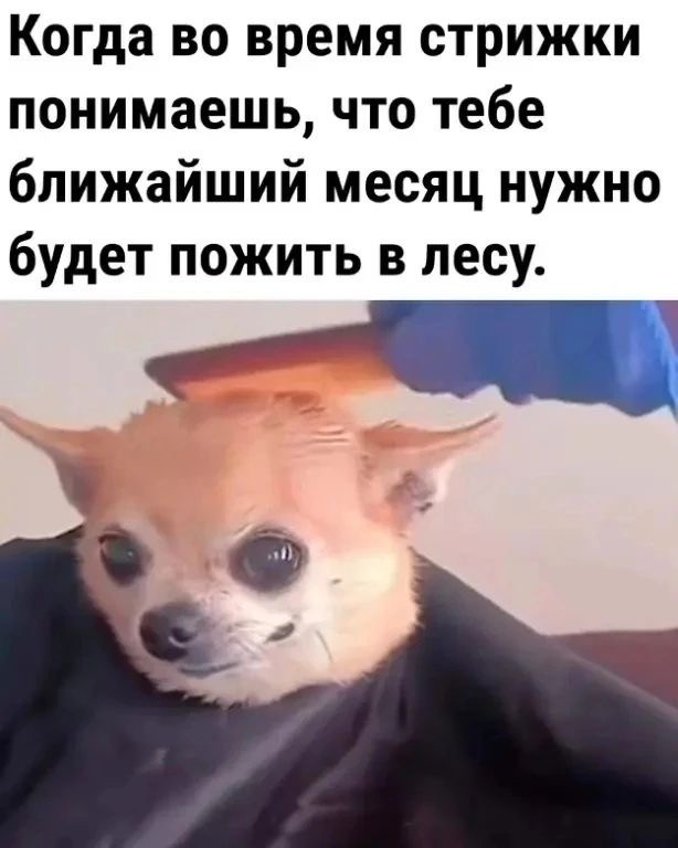 Отряд быстрого деградирования