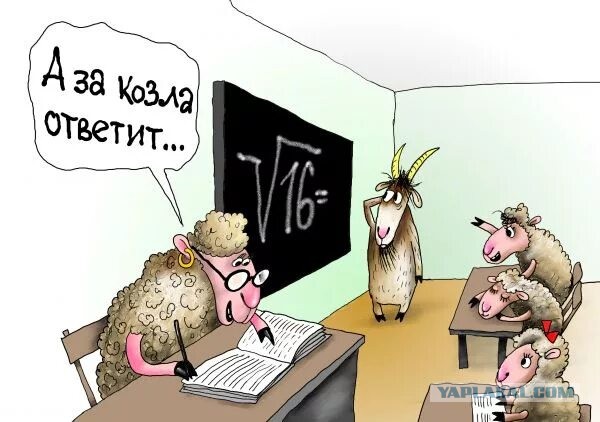 Девочки, поздравляем, слово "овца" — не оскорбление. Так решил пермский суд