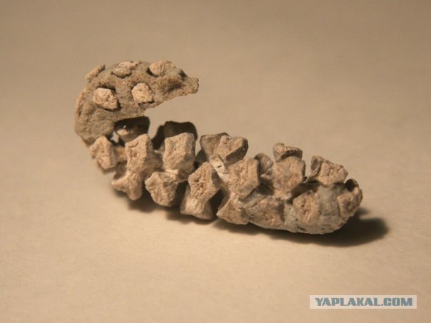 История мира у нас под ногами
