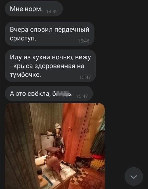 Так себе картинки 31.12.24
