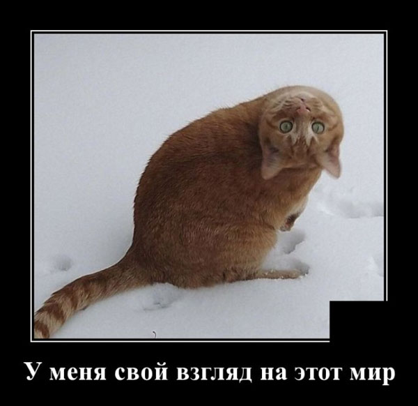 К котовторнику: подборка картинок-баянов с котиками и про котиков. Выпуск 17