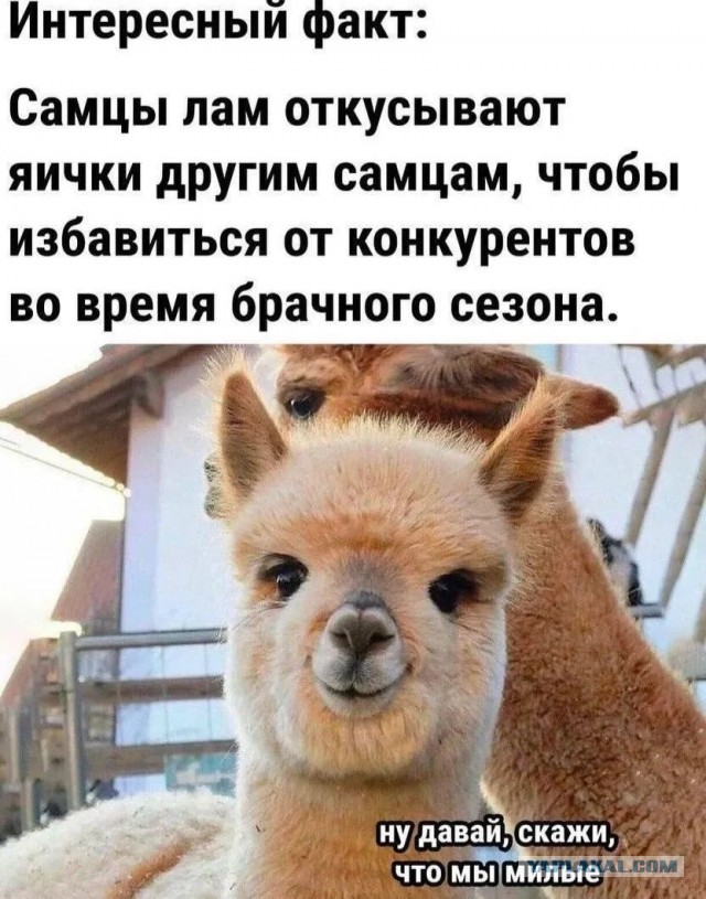 Маленькая пятница 10.09