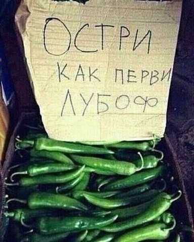Утром в газете, вечером в баяне