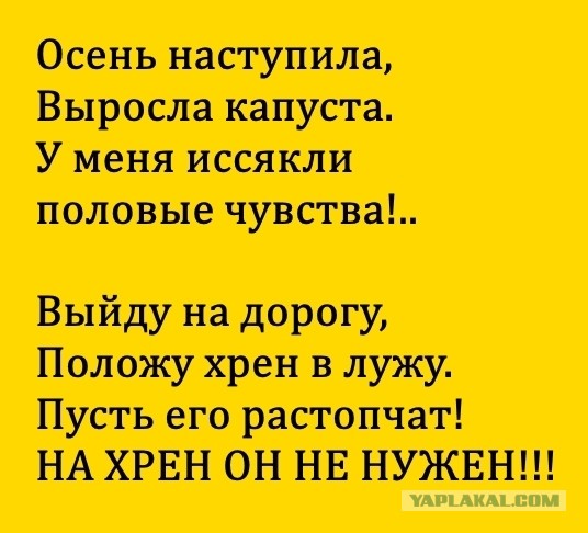 В Воронеже подросток отрезал себе половой орган, потому что он ему надоел