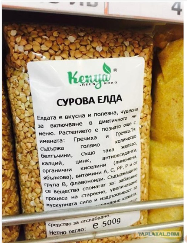 Алсу и Ay Yola