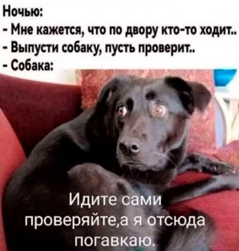 В интернете все смелые