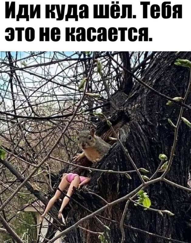 Субботние картинки