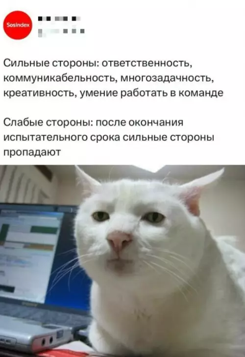 Картиночки, баянчики 10 марта