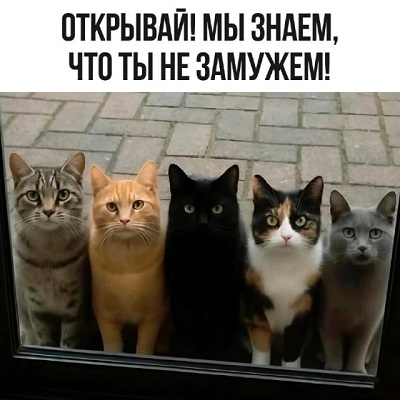 Смех да и только