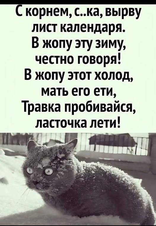 Пятничные бояны