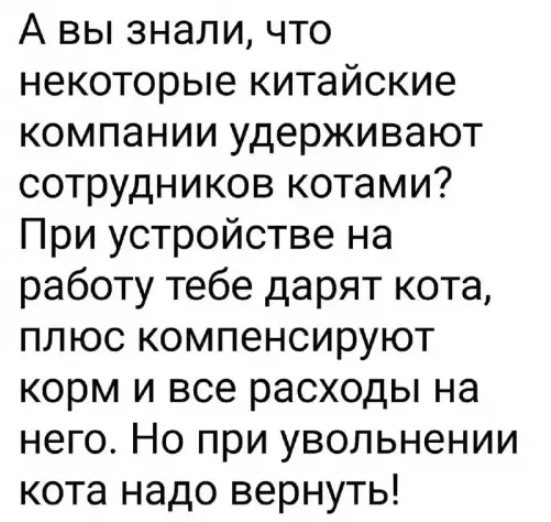 Картиночки, баянчики 26 июня