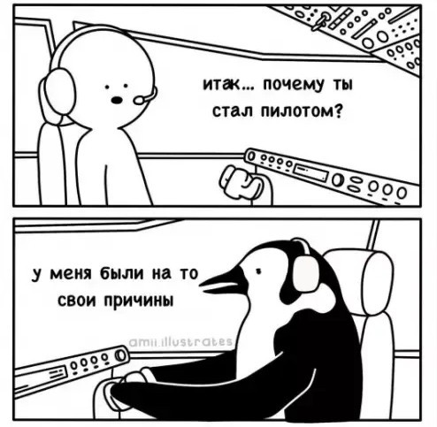 Пингвины - философы моей жизни