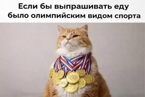Картинки для деградации 252 (разной степени свежести)