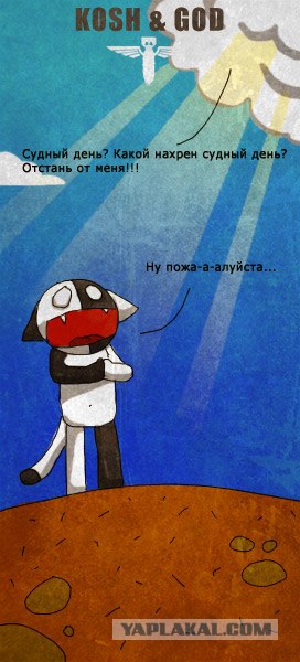 КОШ и другие