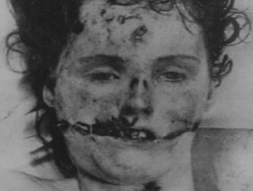 История одного убийства