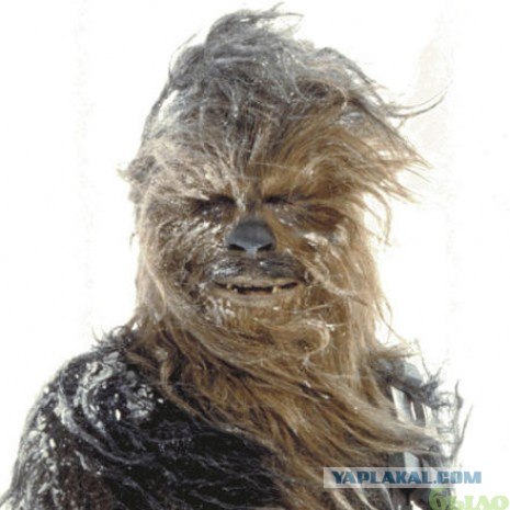 Девочка - волк