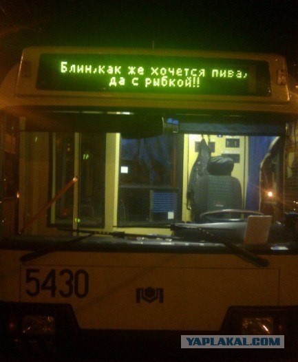 Просто несколько непонятных фотографий