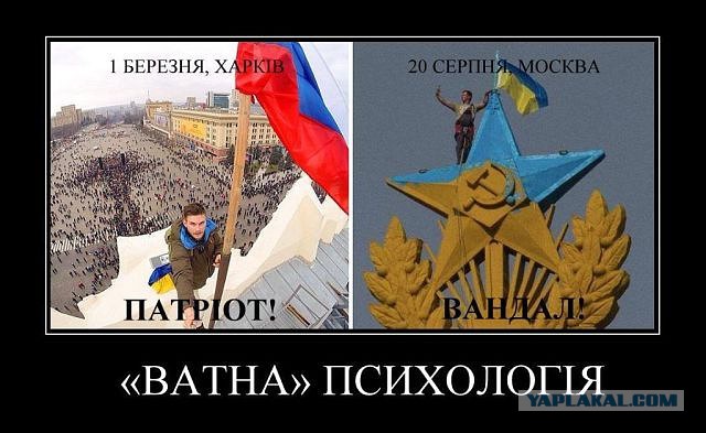 Задержанны вандалы осквернившие звезду