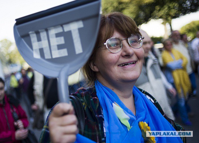 Светлые лица баранов, ведомых на бойню