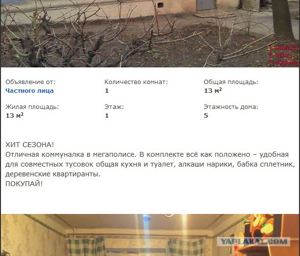 Подборка веселых картинок