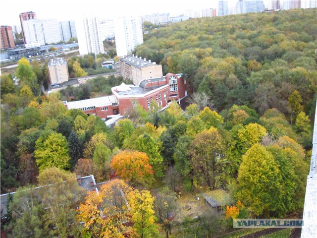 А что у Вас сейчас?