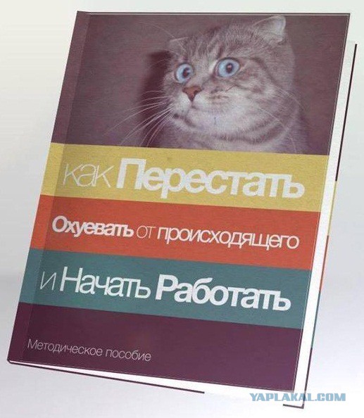 Прямая трансляция большой пресс-конференции Путина