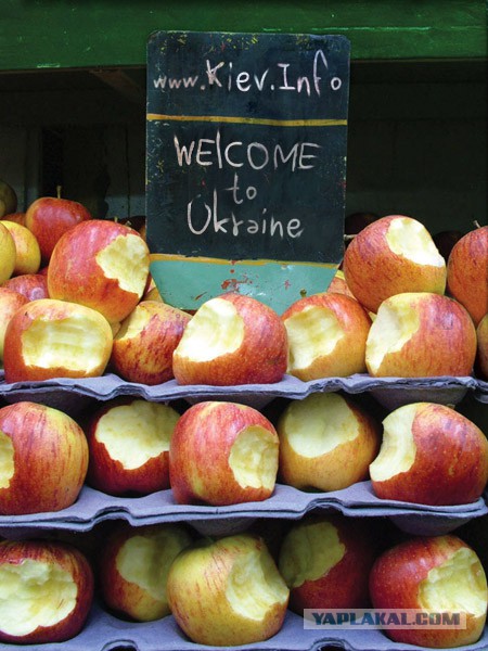 Прикольные картинки.